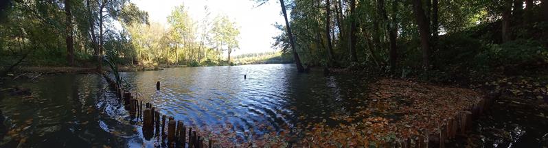 Panorama-1