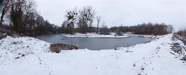 Panorama-2-winter