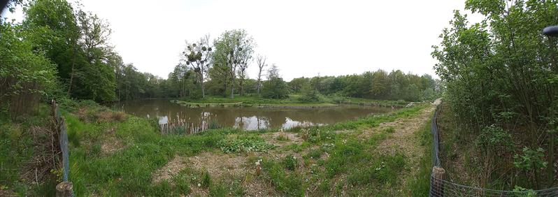Panorama-4-zomer